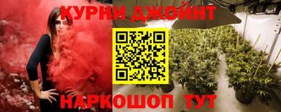 ПСИЛОЦИБИНОВЫЕ ГРИБЫ Канаш