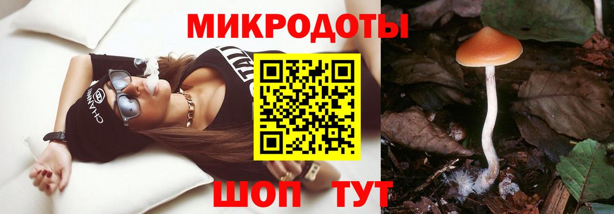 Галлюциногенные грибы прущие грибы Кропоткин